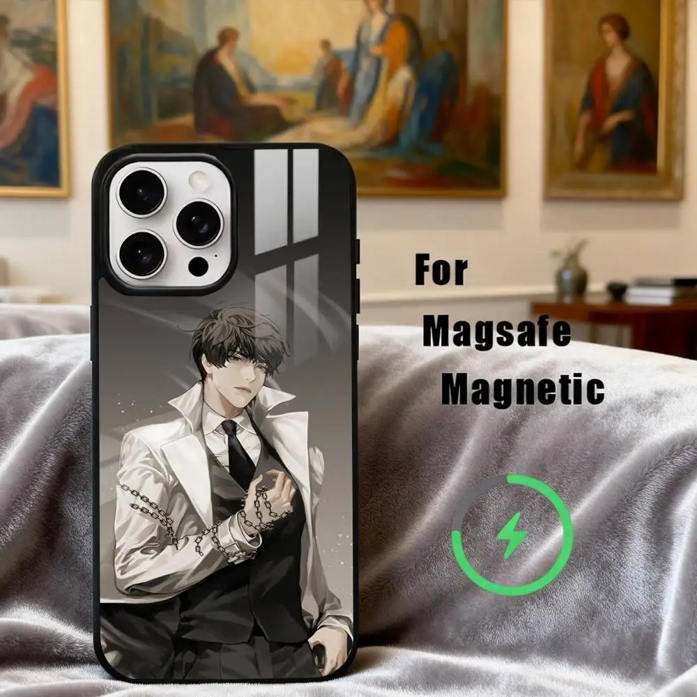 Фото Чехол O-Omniscient-T R-ReaderS V-Viewpoint для iPhone 17, 16, 15, 14, 13, 12, 11 Plus, с поддержкой магнитной беспроводной зарядки №5