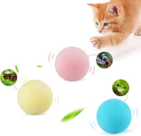 cat training toy pet playing ball pet squeaky supplies smart cat toys interactive ball catnip kitten kitty products toy for cats