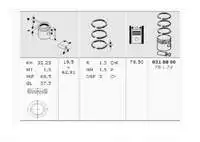 

Store code: 318801 for PISTON segment SAXO x XSARA ZX P106 P206 P206 TU5JP (1,6 8V)/(MM)