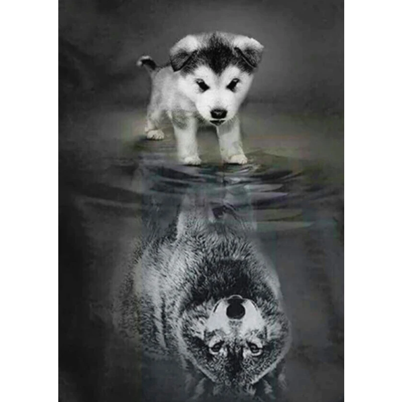 

Diamond Painting Animal Wolf Dog Husky 5d Diy Mosaic Full Square Round Drill Diamant Of Rhinestone Daimond Embroidery Pictures
