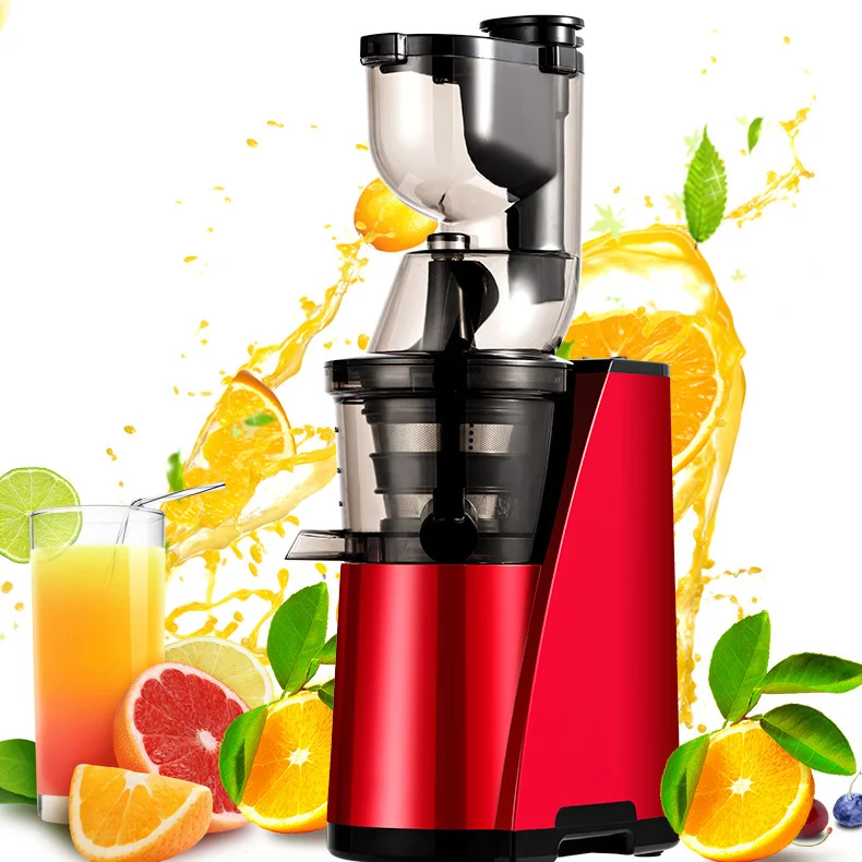 

Customized logo Automatic Juicers Vegetables Ice Cream Juciers Multifunctional Slow Juicer