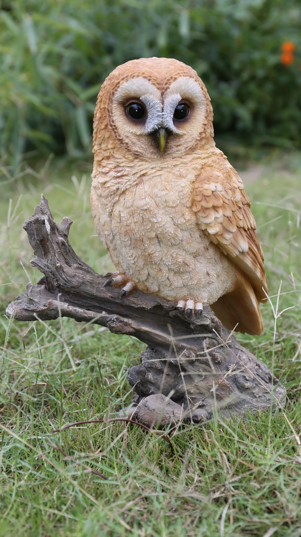 ,Hi-Line Gift Ltd. Tawny Owl on Stump 10.24 X 5.71 X 12.60 Inches (L X W X H)