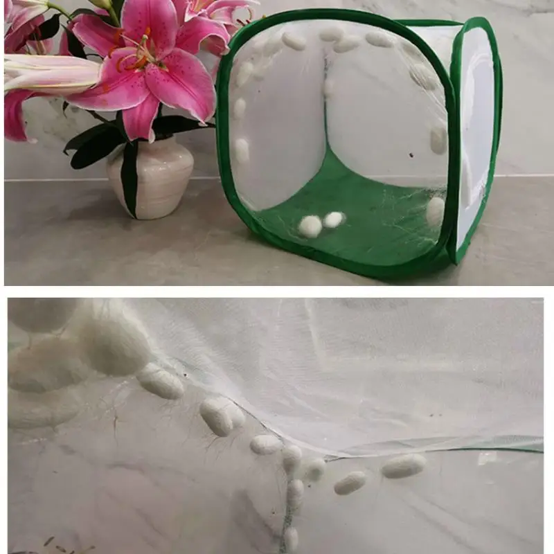 Складная Клетка Для Насекомых Сетка Среды Обитания Птиц Бабочки Паука