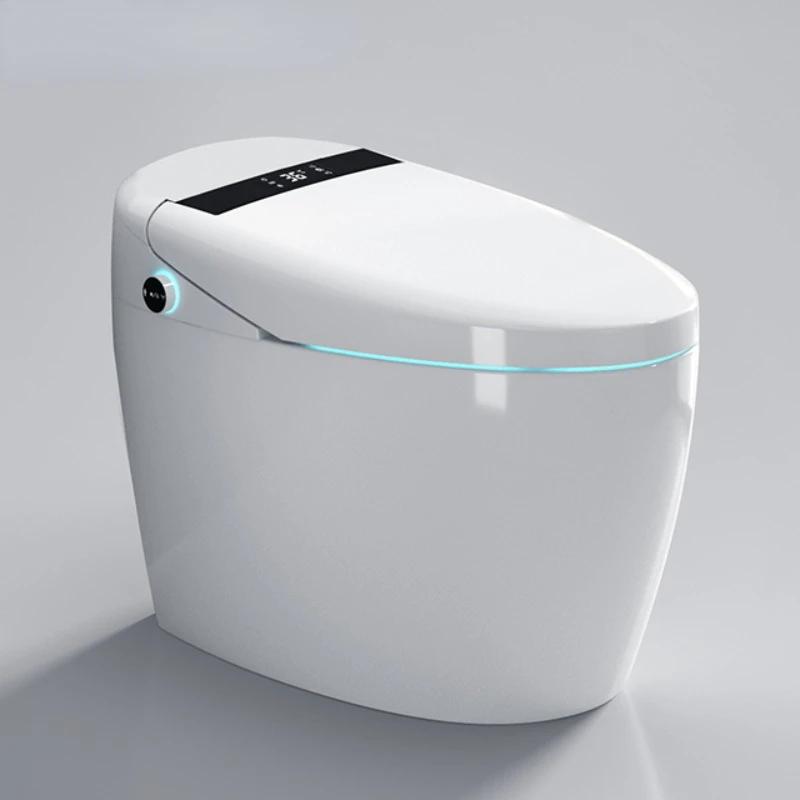 

Wholesale Washdown Concealed Toilets Tanks One Piece Intelligent Closestool WC Ceramic Smart Toilet