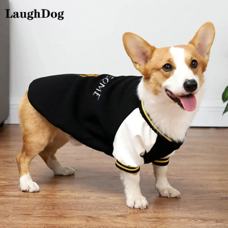 

Fashion Corgi Dog Clothes Warm Baseball Coat Jacket Soft Sweater For Small Medium Dogs Clothes Baseball Jersey Pet Clothing Pug