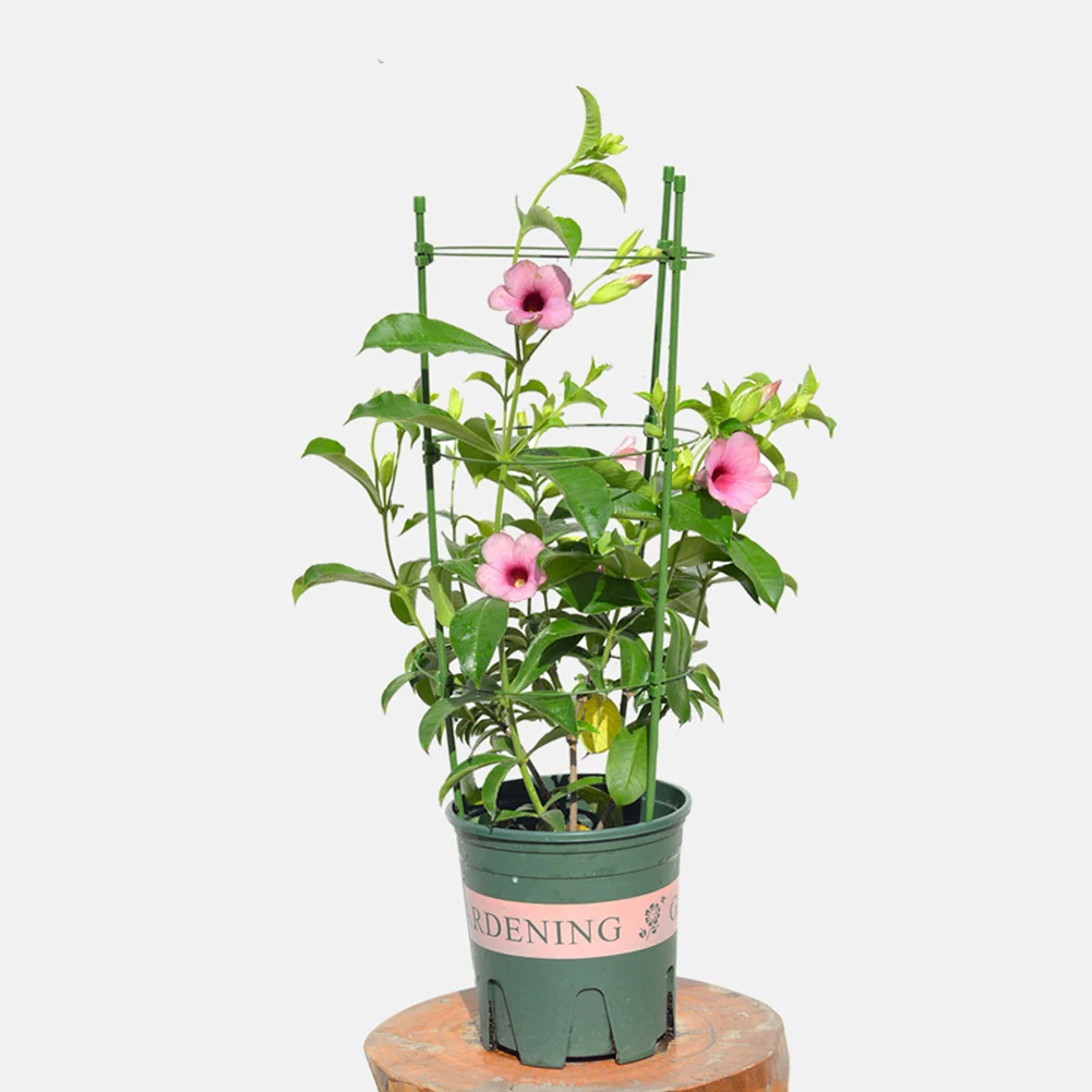 

Climbing Plant Support Cage Durable Garden Trellis Flowers Stand Rings Tomato Support Climbing Vine Rack Vegetables Decorative