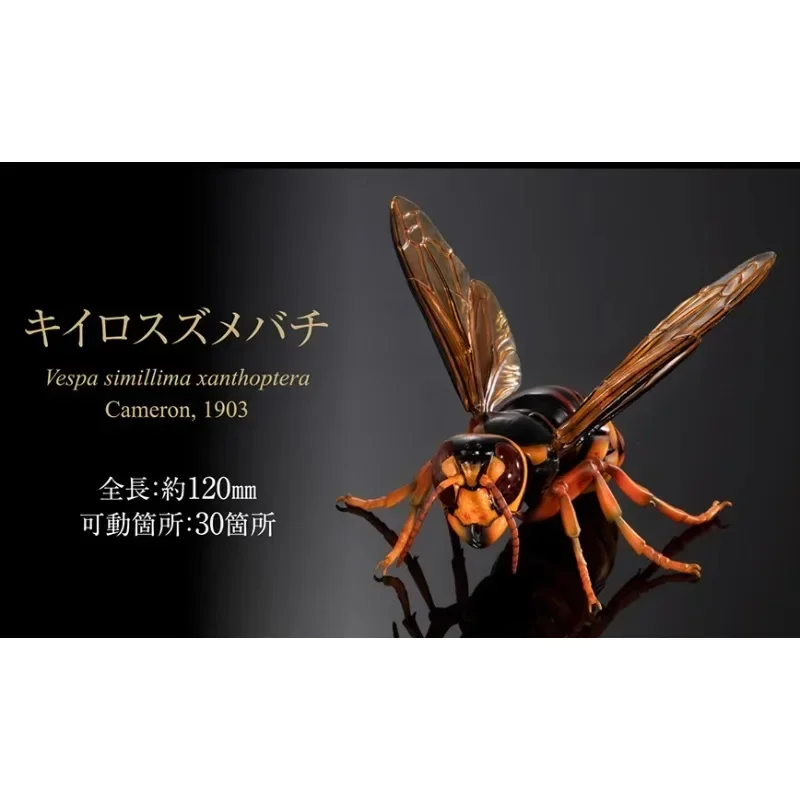 Bandai витые игрушки Баклажан биологическая фотография васп 2