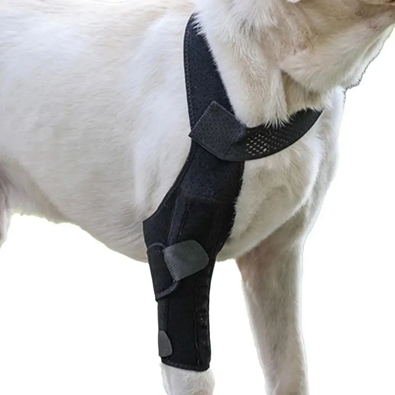 

Dog Leg Support Brace Dog Leg Protector Back Leg Hip Support With Metal Strip High Elasticity Breathable Leg Protector For Home