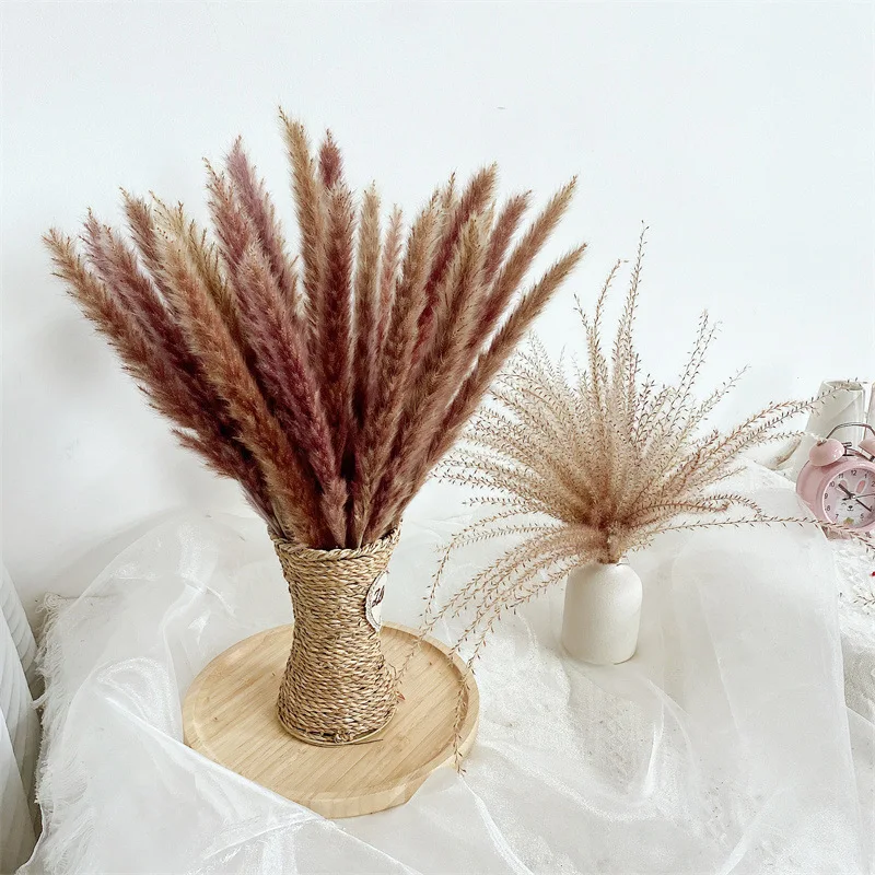

Pampas Grass Natural Bulrush Wholesale Wedding Tall Fall Home Decor Mariage Dried Flowers Artificial Wholesale