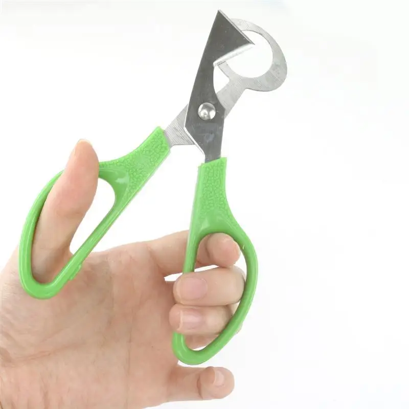 Ножницы для птиц кухонный инструмент стрижки голубей перепелов лезвие из