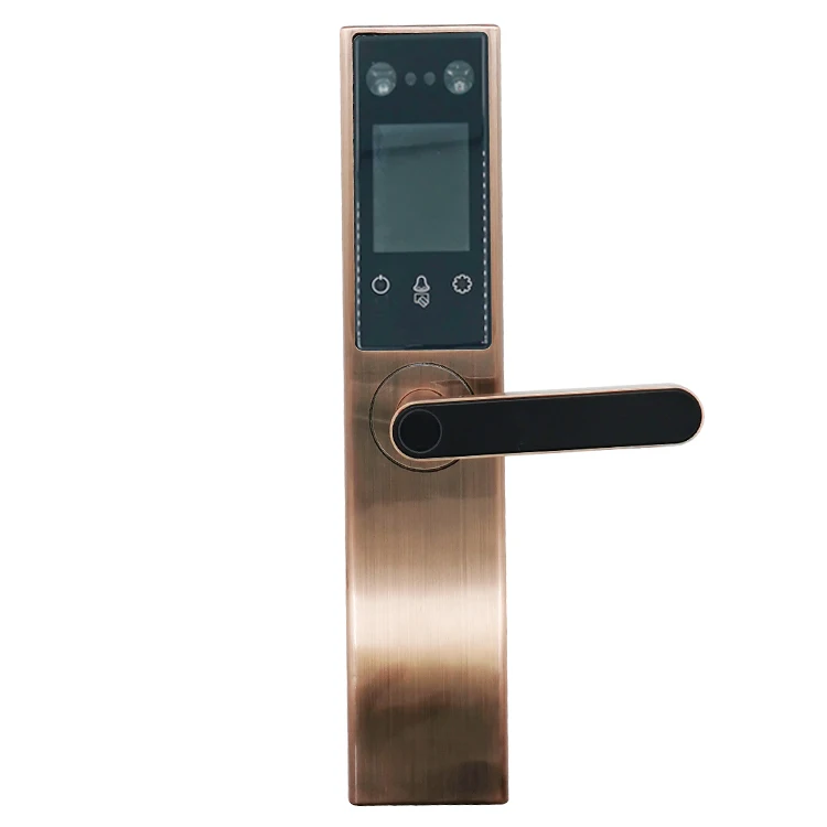 Smart face recognition electric door lock palm print door gate lock anti-theft home villa access control door lock enlarge
