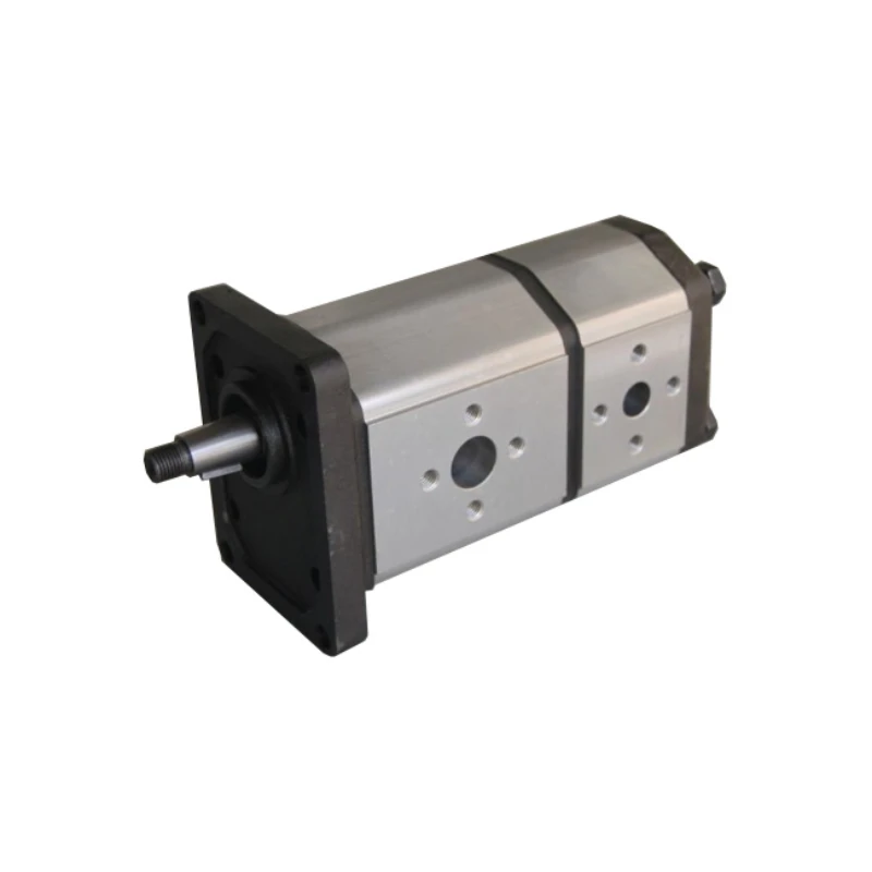 

double hydraulic gear pump
