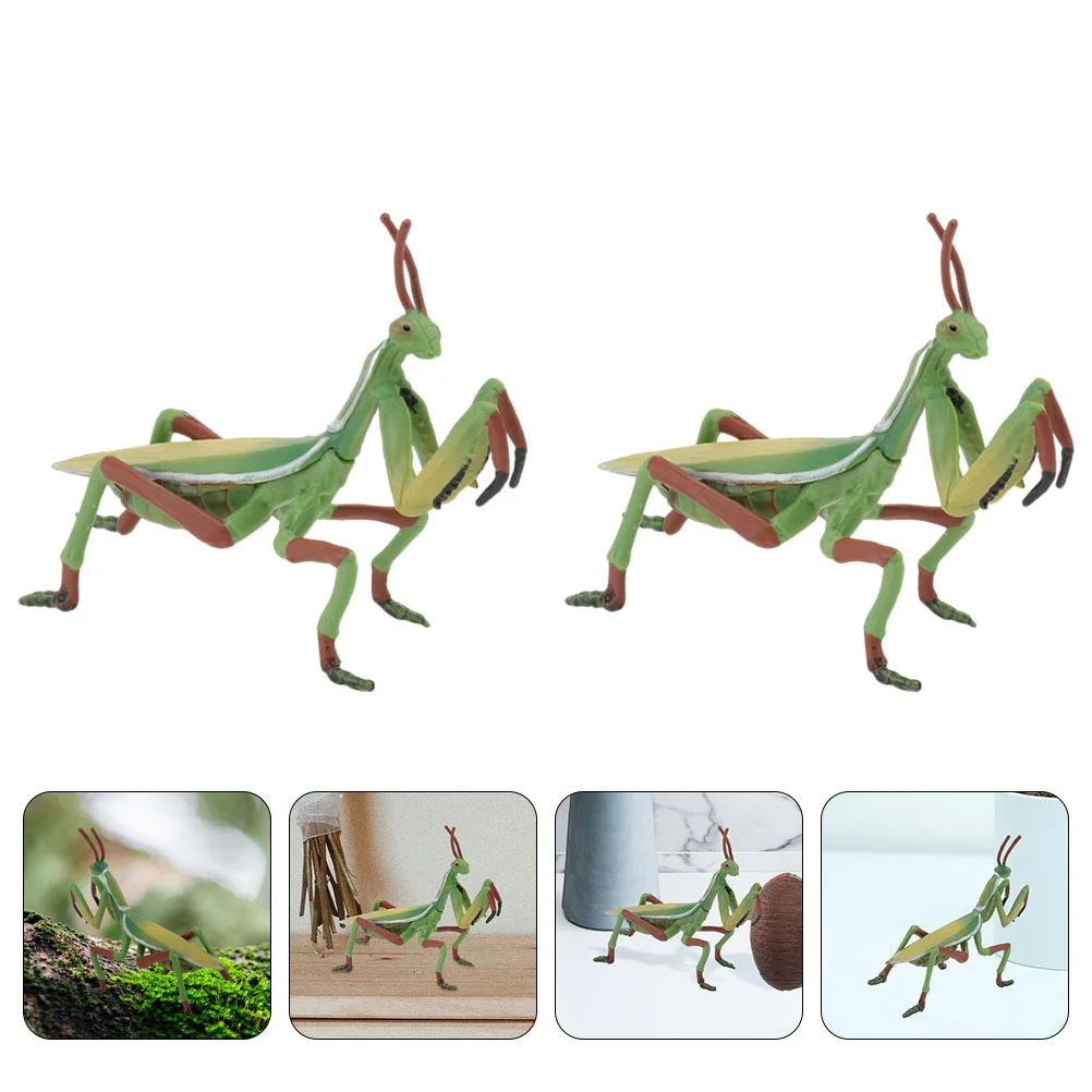 

2 Pcs Grasshopper Ornament Kids Outdoor Playset Realistic Model Wild Animal Figurine Decoration