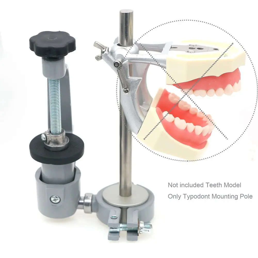 

Dental Typodont TeethMounting Pole Fit Kilgore Nissin Columbia Dentoform Frasaco