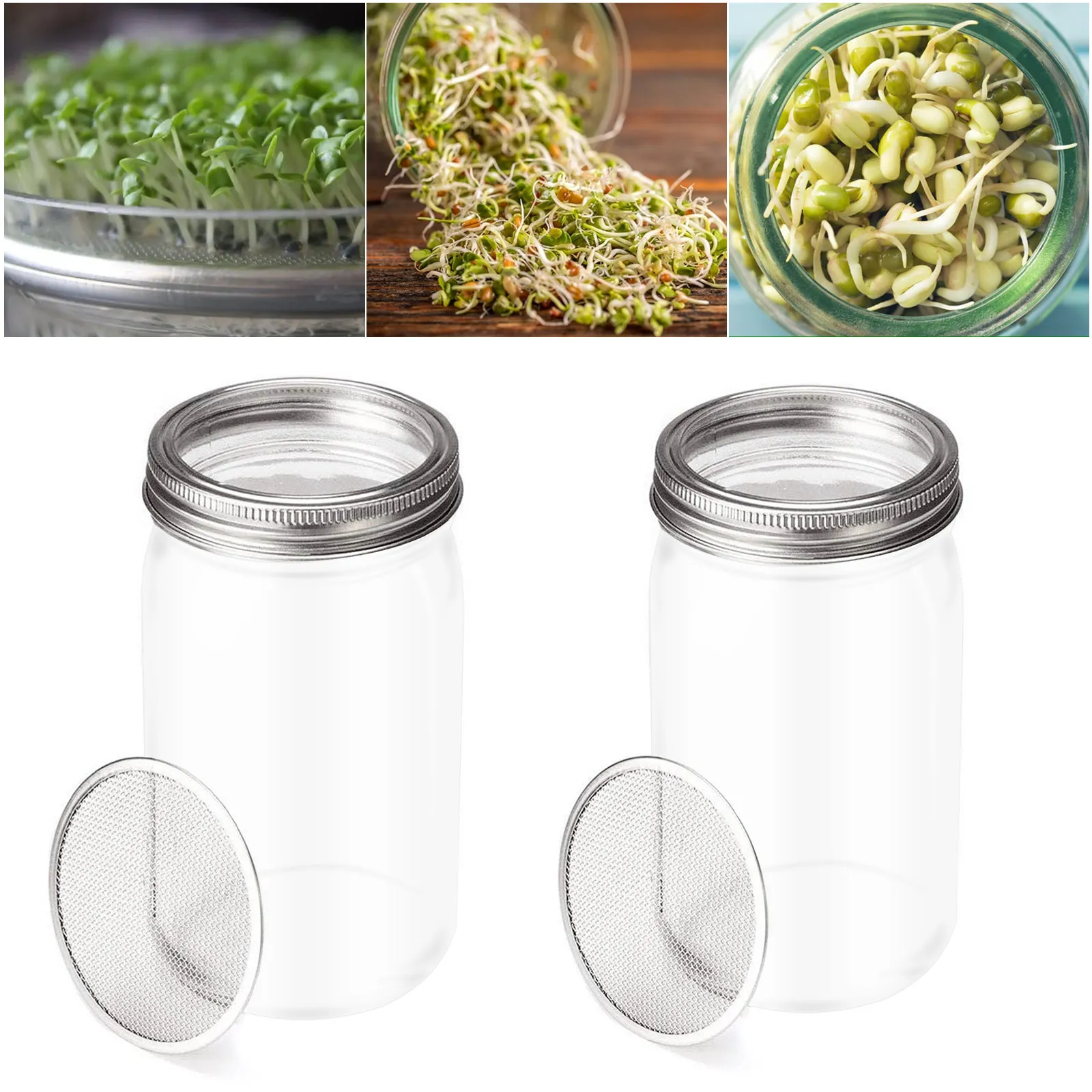 

Seed Sprouting Jar Kit with 2 Wide Mouth Mason Jars Durable Bean Sprouts Growing Kit with Stainless Steel Screen Sprout Lids