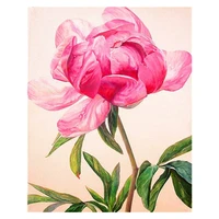 fsbcgt beautiful flower diy painting by numbers adults drawing on canvas coloring by numbers wall art decor