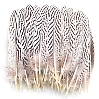 wholesale 15 25cm natural silver pheasant feathers for craft dancer decoration plumas for diy decoration
