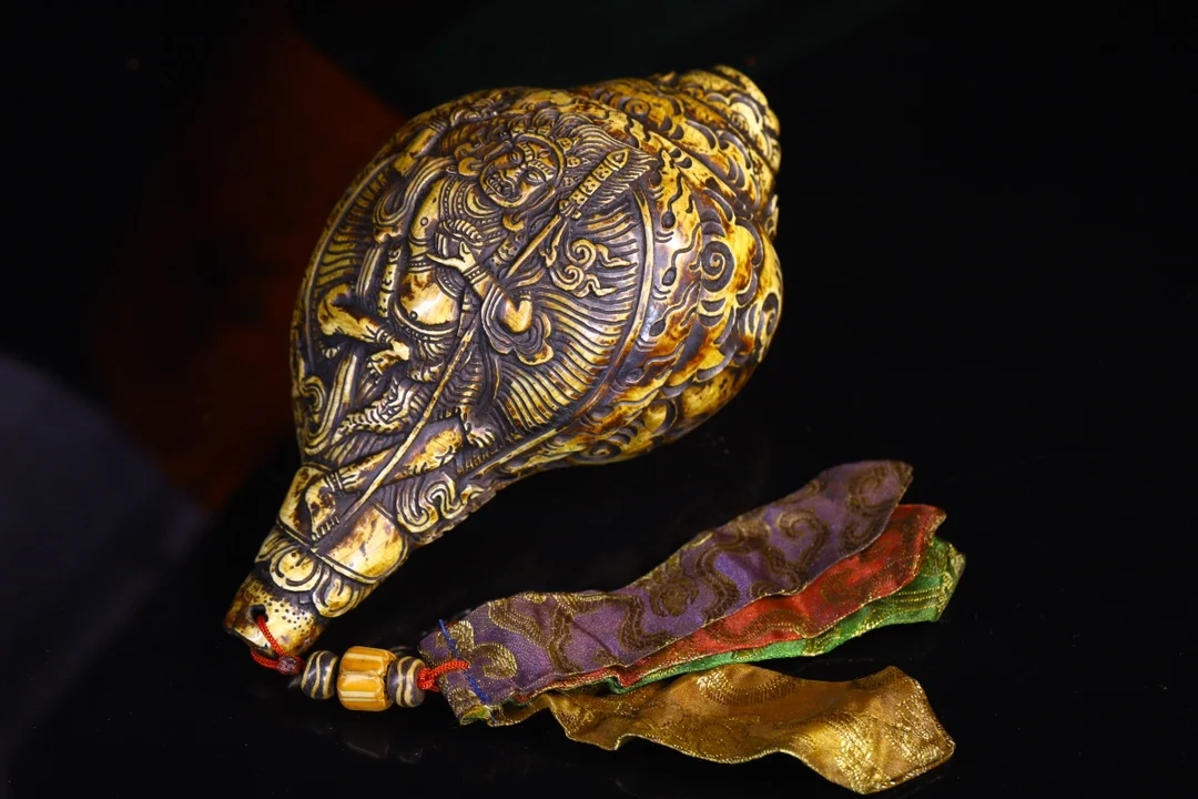 8-дюймовая коллекция тибетского храма старая натуральная раковина киноварь DAKINI