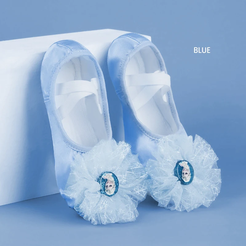

Girls Ballet Shoes Dance Shoes Women Pointe Shoes Ballerina Dancing Slipper Satin Ballet Flats Elsa Shoes for Girls