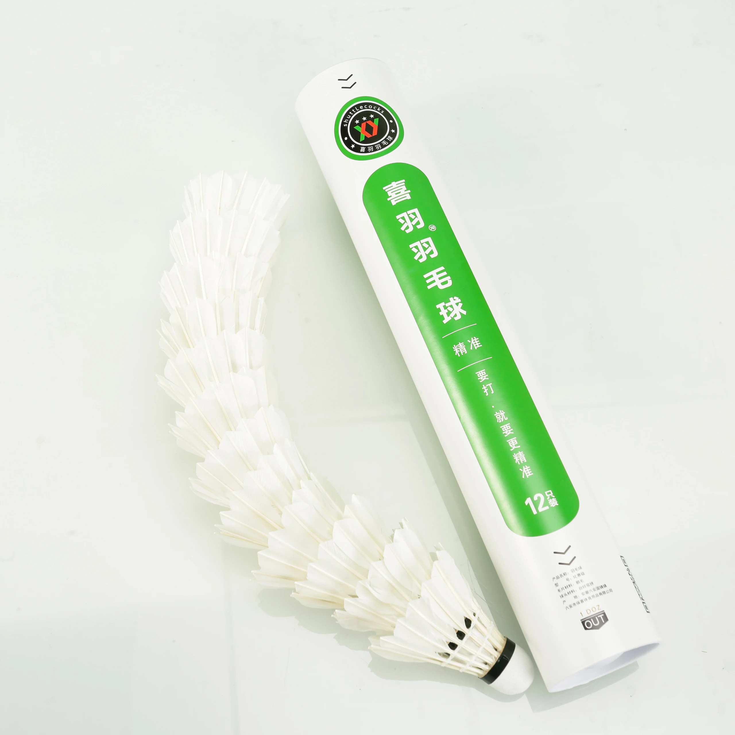 Рисунок 3 - Тренировочный бадминтон для на