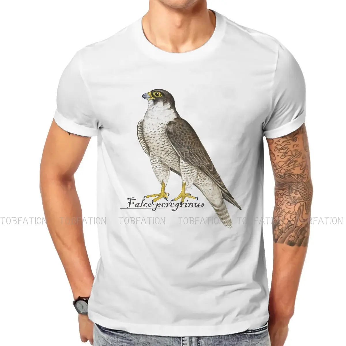 

Falconry Austringer Hawk Crewneck TShirts Peregrine Falcon Distinctive Homme T Shirt Funny Tops Size S-6XL