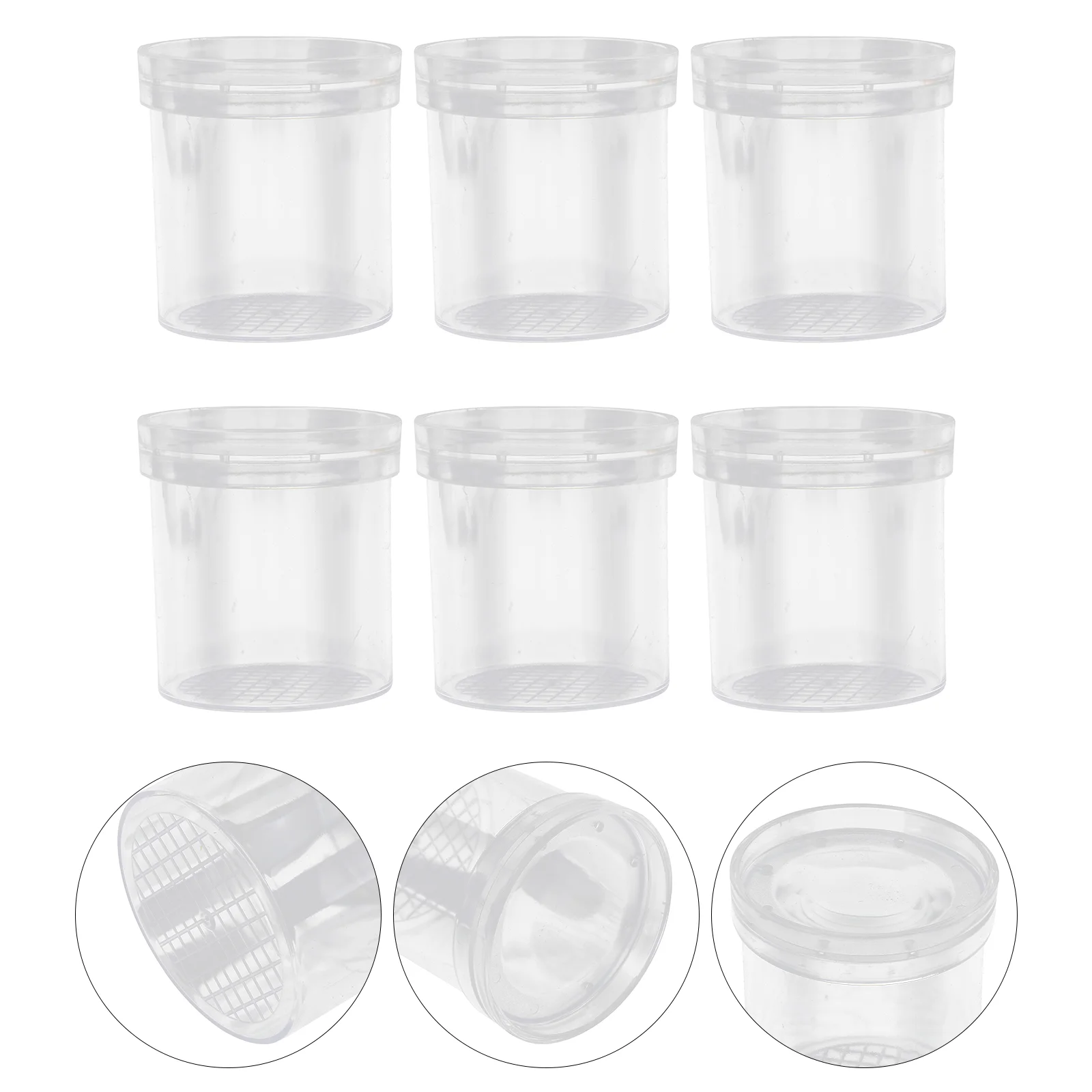 

6 Pcs Magnifying Bug Viewer Insect Toy Plastic Containers Jar Collecting Outdoor Magnifier Biology Science Observer