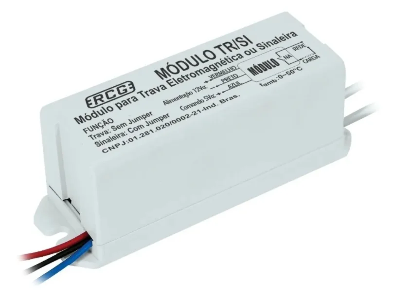 

Modulo Temporizador Trava Eletromagnetica Rcg Qualidade