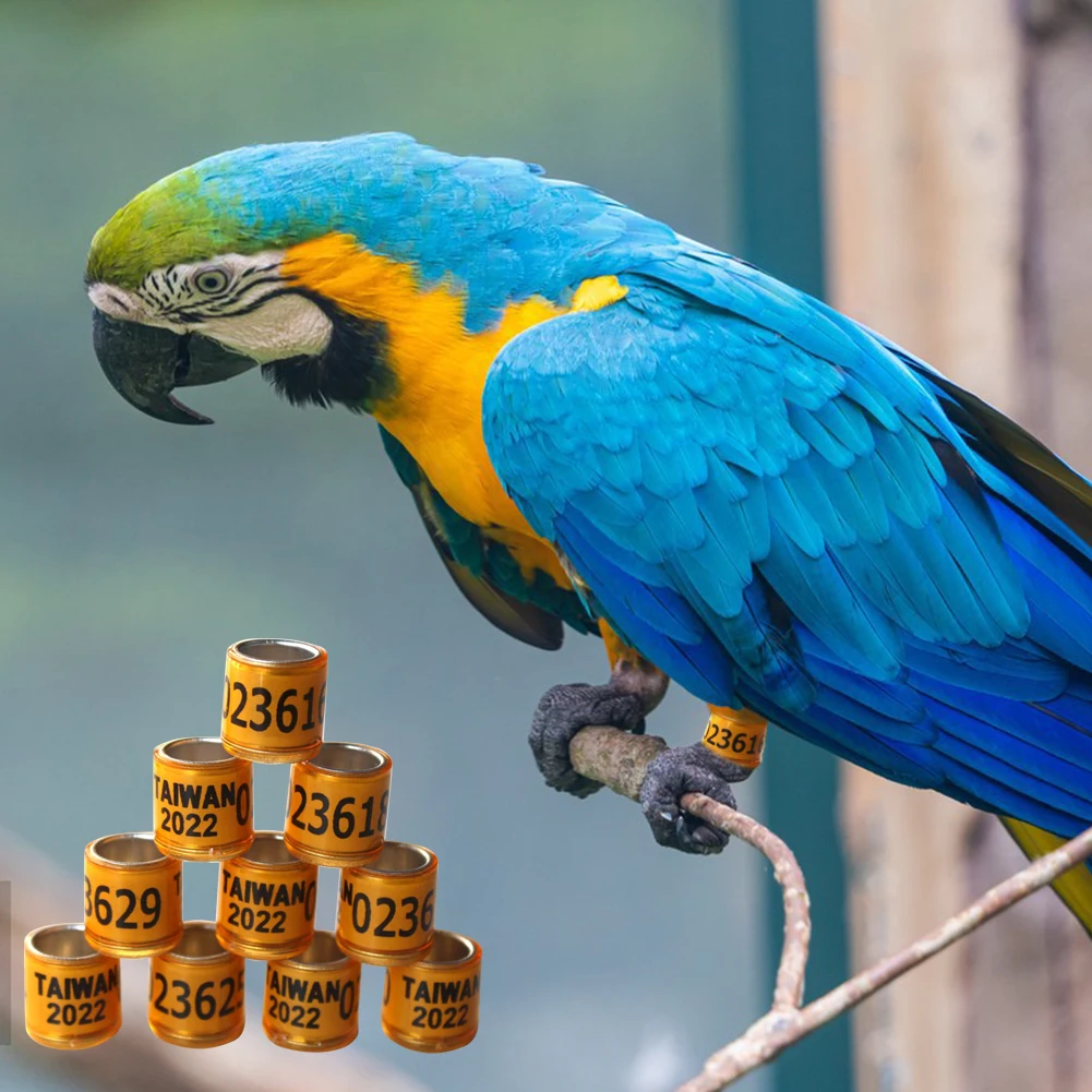 Aluminum Bird Parrots Foot Ring Pigeons With Numbered Outdoor Flight Training Tool Competition Identification Label |