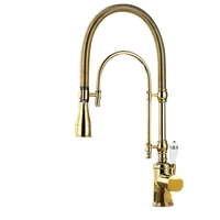china gold plated brass sink mixer tapporcelain handle flexible swirling spout dual mode kitchen faucet