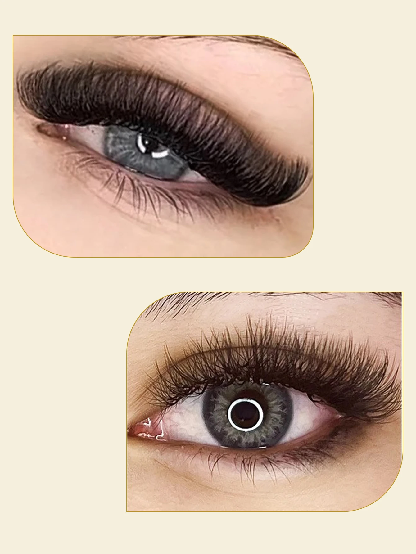 Ресницы CoMango Cilios 5D W-образные для наращивания автоматические цветущие C/D изгиб