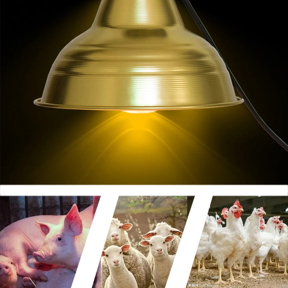 Тепловая лампа для рептилий с изоляцией и подогревом, 250 Вт, зажисветильник ПА 250 Вт с отражателем 8,5 дюйма для разведения птицефабрик