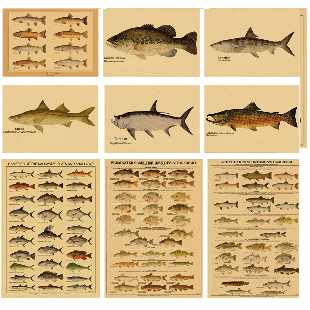 

Arthropodes Poster Marine Fishs Kraft Paper Prints DIY Vintage Home Room Bar Cafe Decor Aesthetic Art Wall Painting Room Decor