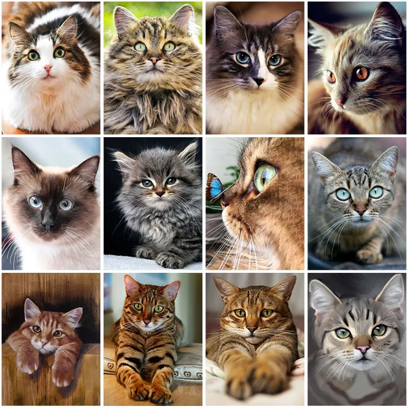 

Алмазная живопись 5D «сделай сам», алмазная вышивка, животное, кот, Набор для вышивки крестиком, Ручная инкрустация, подарки, Украшение стен д...