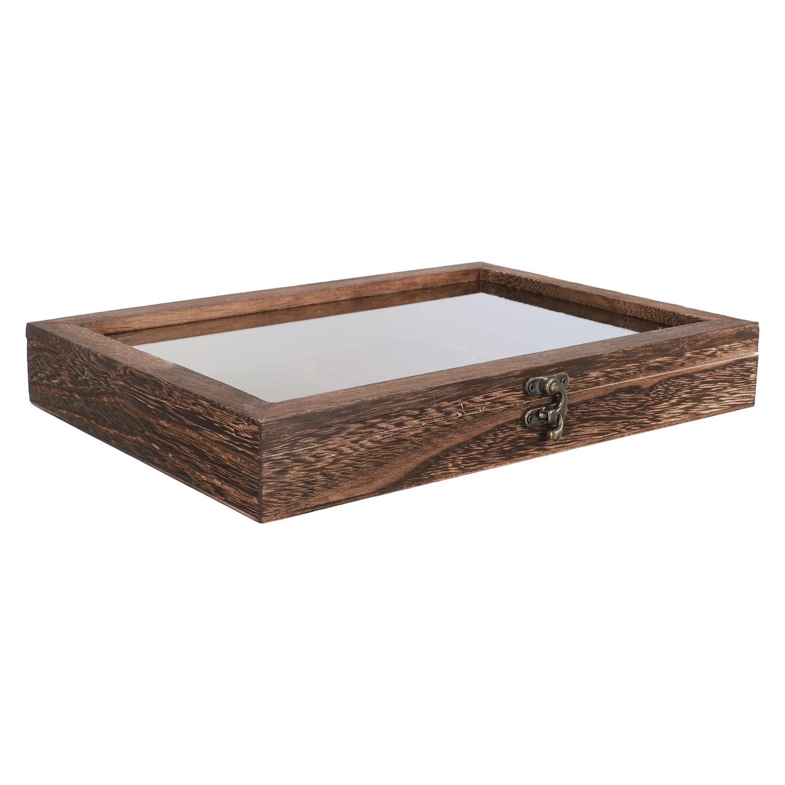 

Display Case Box Glassjewelry Specimen Collectionleatherette Lid Metal Clasp Wooden Tempered W Large Practical Insect Preserved