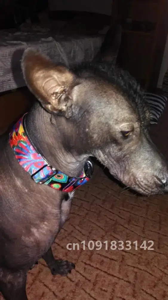 Персонализированные тканевые сверхпрочные ошейники Martingale для собак