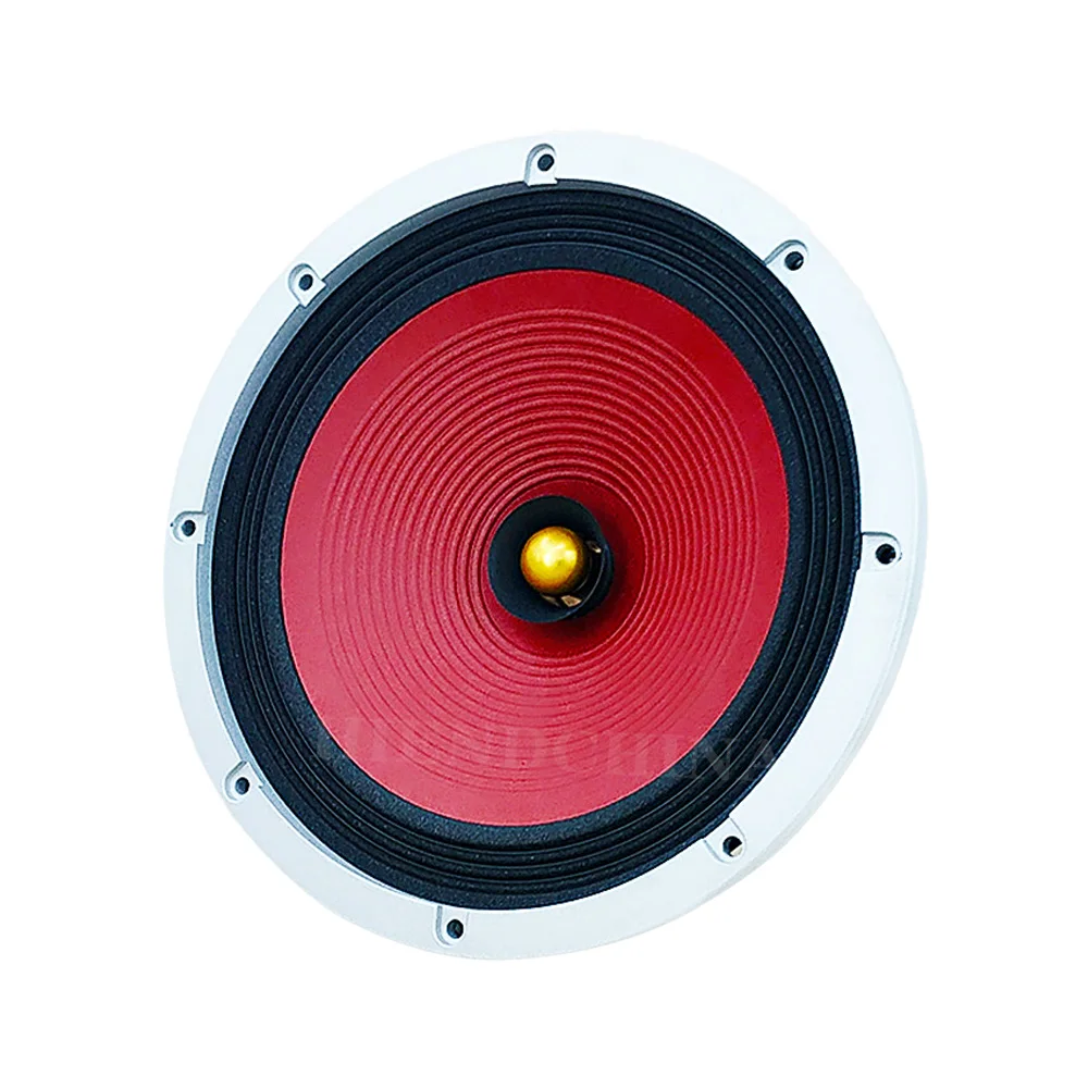 

Hf-270 Hifi Speakers 10 Inch Full Range Speaker Hifi Loudspeaker Hifi Full Frequency High Sensitivity（1pcs）