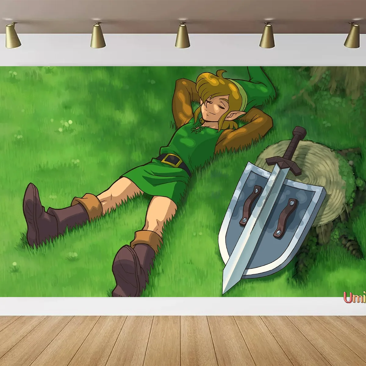 Umi мультфильм игра Приключения фон Зельда искусственная украшение фотостудия