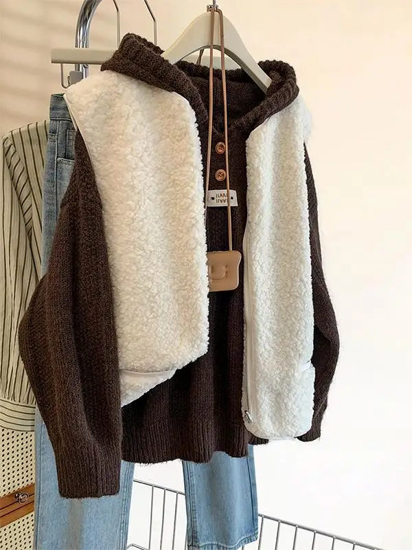 Lamb Wool Sweater Vest Outerwear Women Autumn and Winter 2024 New Idle Sle Outer Wear Polar Fleece Stacked