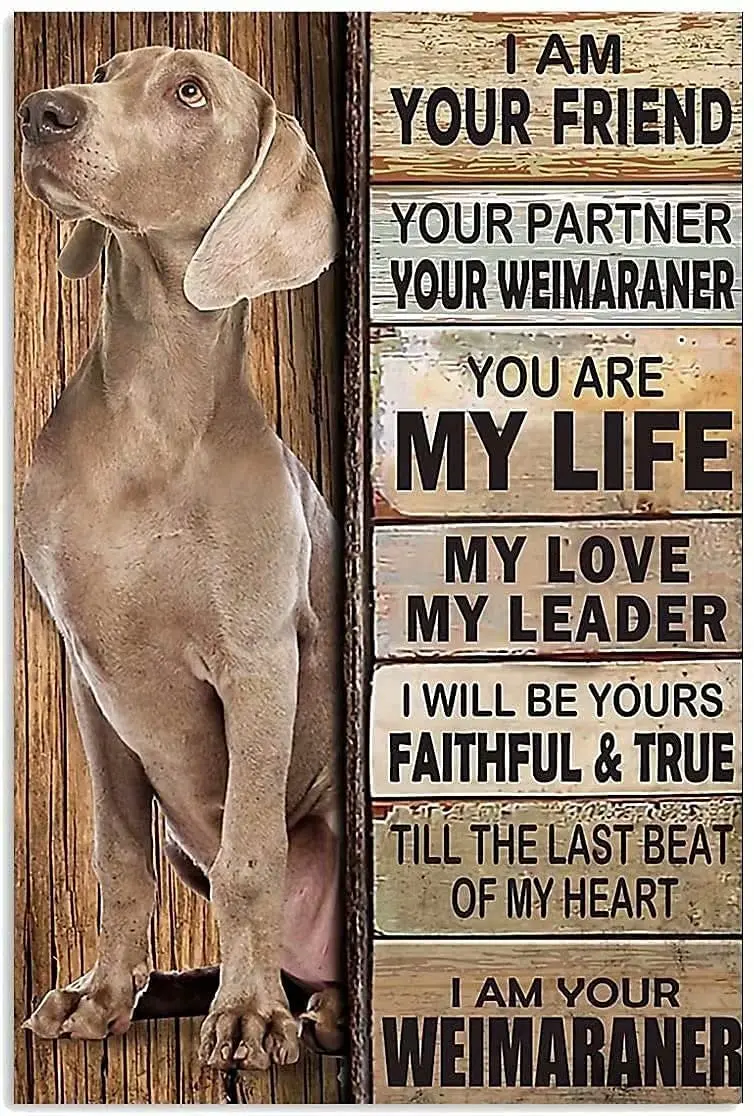 

Metal Tin Sign-Golden Retriever Weimaraner Is The Most Loyal Partner of Mankind Old-Fashioned Tin Sign Is Suitable for Home 8x12