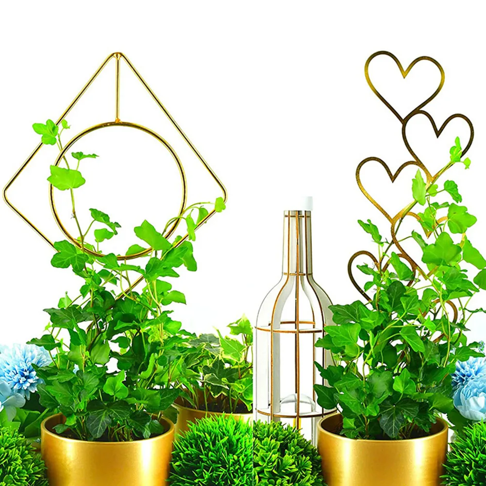 

Plants Climbing Metal Wire Trellis Frame Plant Creative Climbing Vine Support Frame Indoor Flower Plant Vine Climbing Bracket
