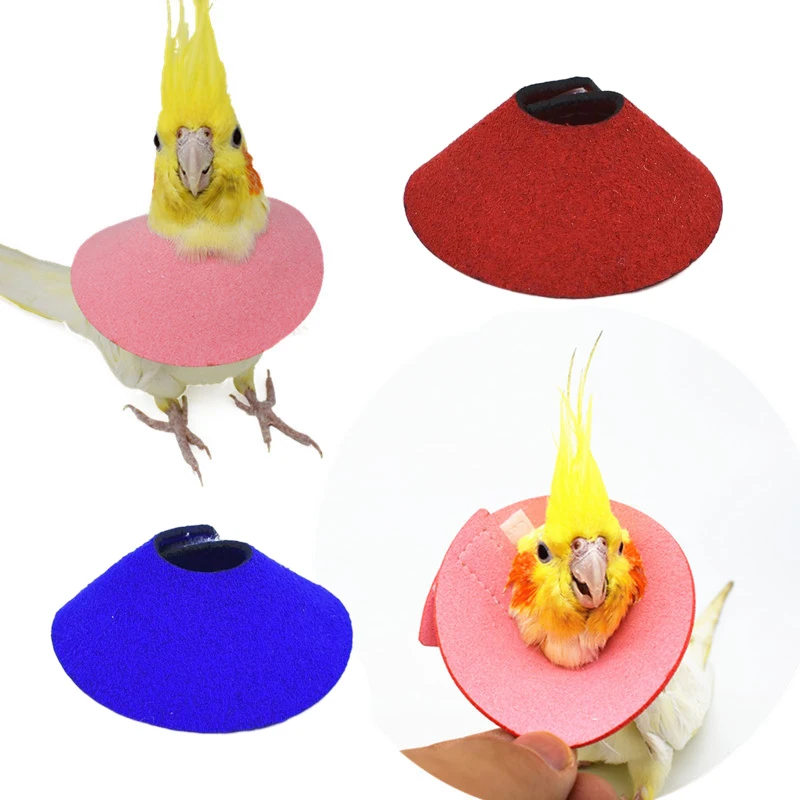 

Parrot Collar Recovery Collar Anti-Biting Pecking Injury Elizabeth Protective Collar For Birds Black Phoenix Cloak Supplies