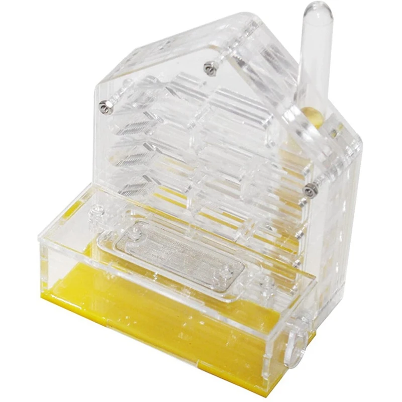 

Ant Nest Ant Farm Acrylic Farm Insect Cage Display Space For Ant Feeding, Ant Feeding Farm House Ants Moisturizing Den