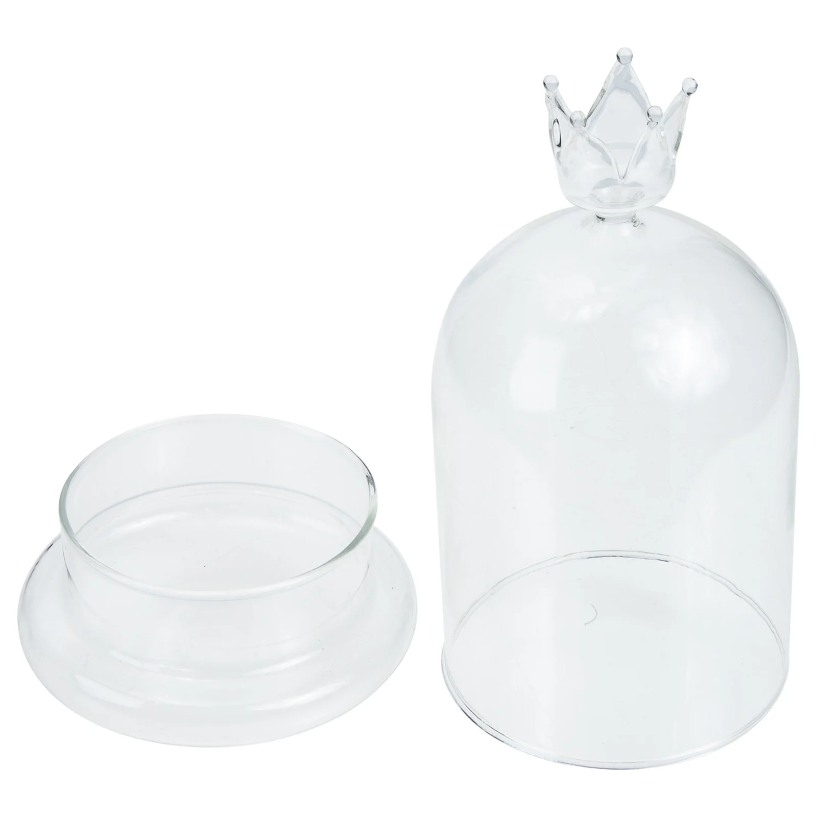 

Glass Cover Flower Protector Ornament Decor Holder Craft Desktop Delicate Decorative Preserved