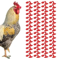 60 pieces pinless chicken anti pecking small chicken eyes glasses with bolt anti pecking rooster hen blinders chicken supplies