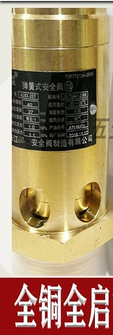 A28X-25TAll медная пружина полностью открытый резервуар для хранения пара