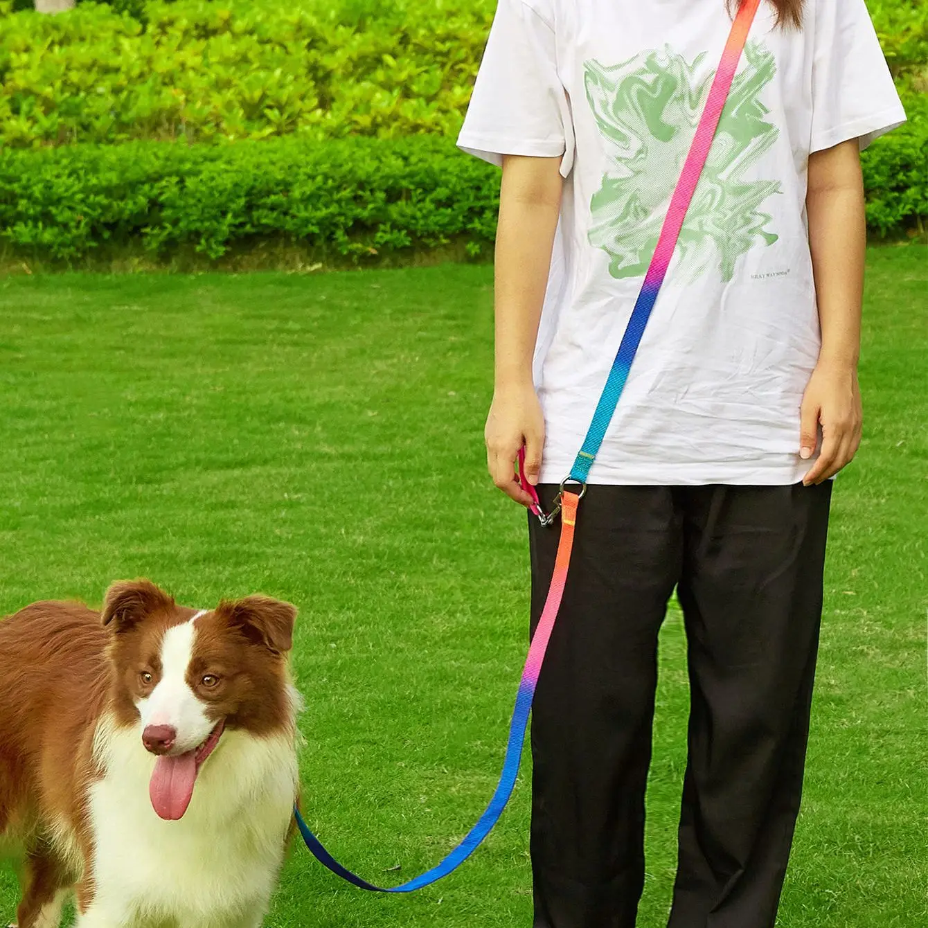 

2022 регулируемый галстук для маленьких и больших собак, поводок для домашних питомцев на открытом воздухе, светоотражающий Эластичный шнуро...