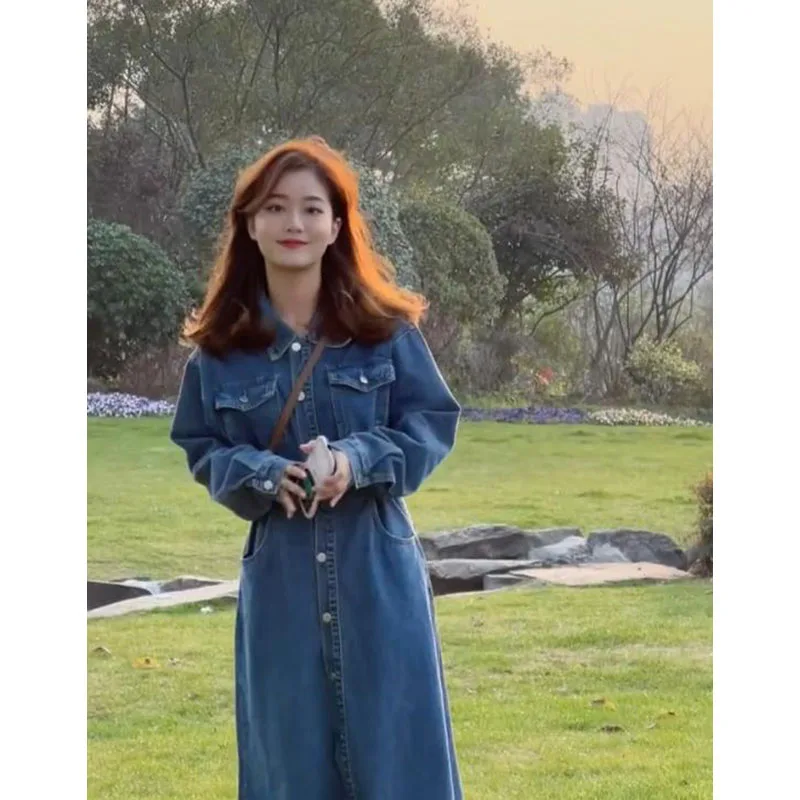 Осенняя одежда для женщин 2024 новое французское платье High Sense Demin длинная юбка