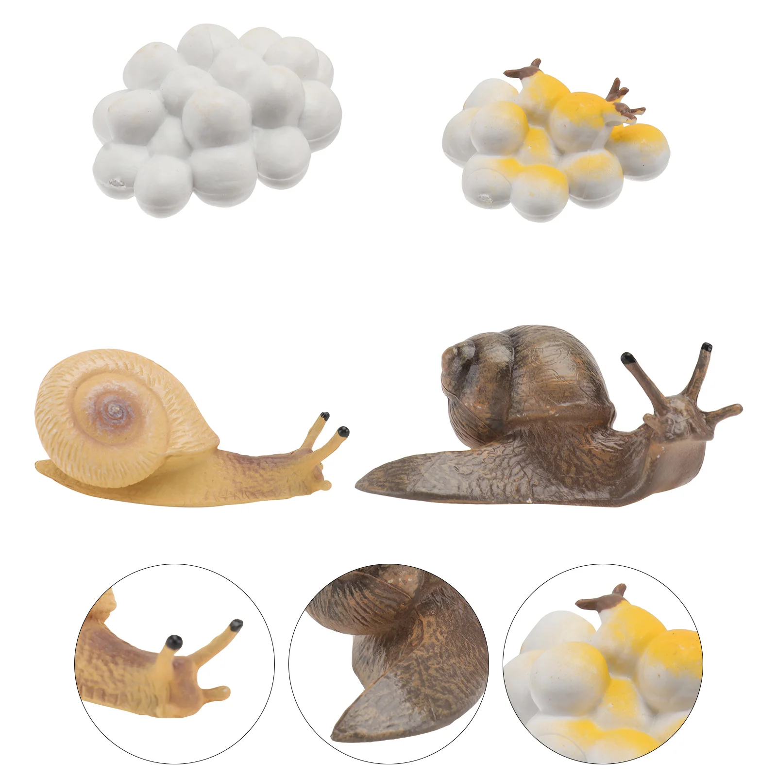 

4 Pcs Ladybug Decor Simulated Snail Ornaments Growth Cycle Statuette Life Toy Plastic Kids Plaything Child