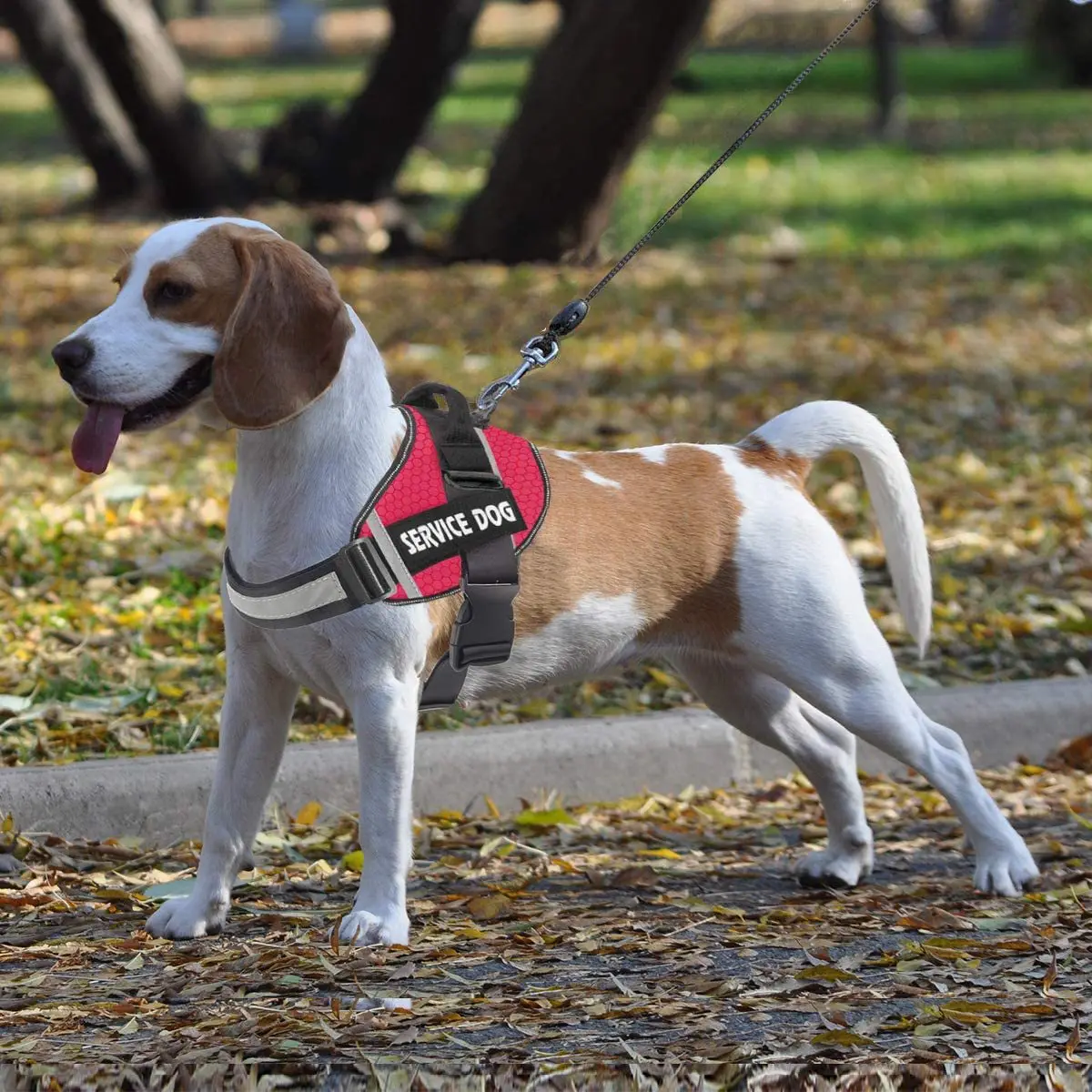 

Dog Chest Strap PU Reflective Walking Towing Rope Adjustable Safety Lead Straps Medium Large Dog Supplies Pet Harness
