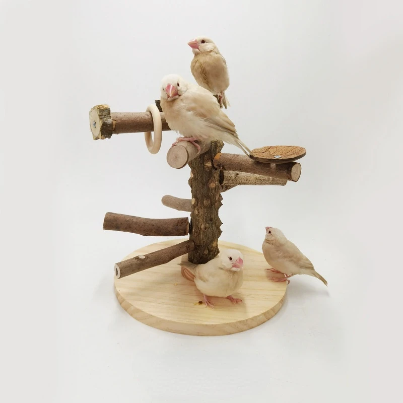 

Pet Xuanfeng Tiger Skin Peony Parrot Bird Special Desktop Interactive Solid Wood Playground Toy Supplies